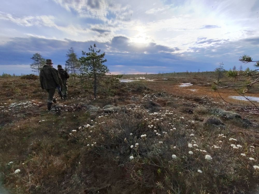 Photograph by Наталья Горовых