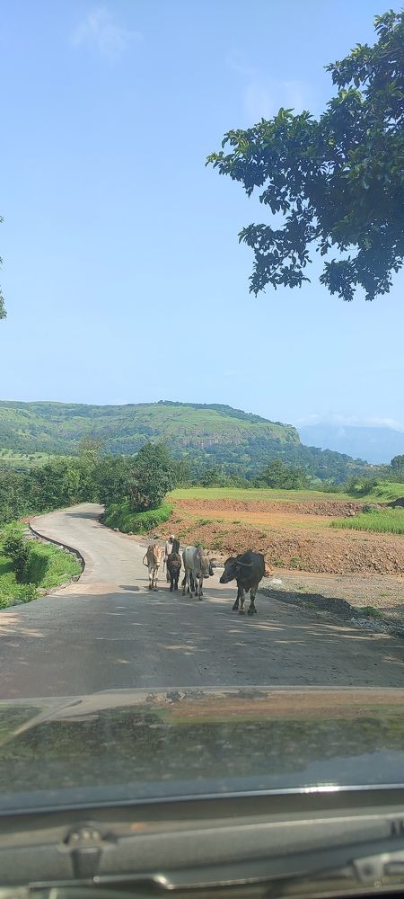 Photograph by Sandip Nalawade
