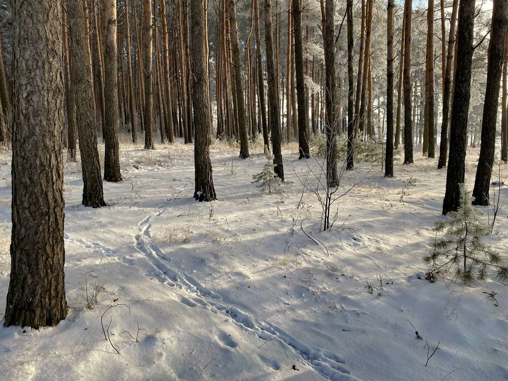 Photograph by Dmitry Kuzmich