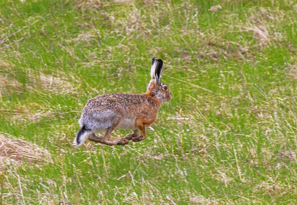 Photograph by Сиваков Алексей