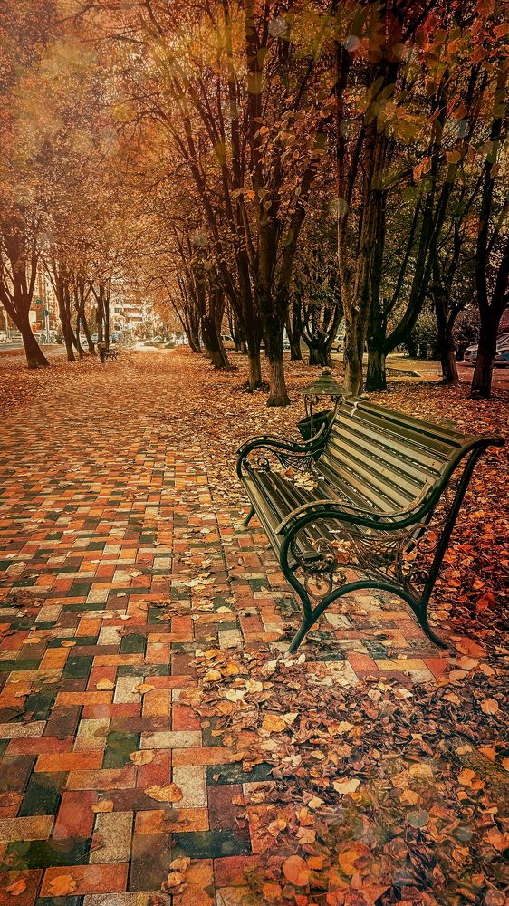 Photograph by Анна Виноградская