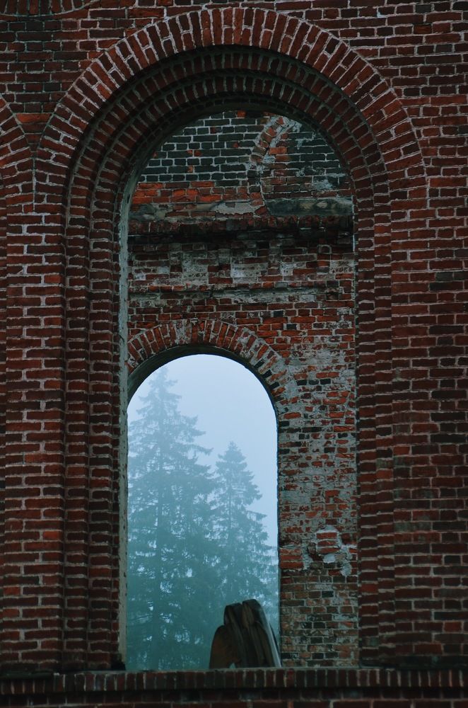 Photograph by Алёна