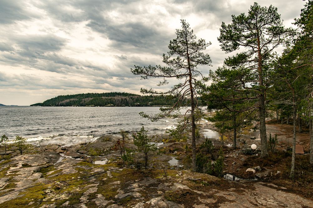 Photograph by Olga Smirnova