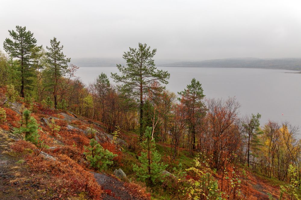 Photograph by Зоя