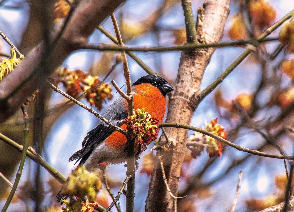 Photograph by Сиваков Алексей
