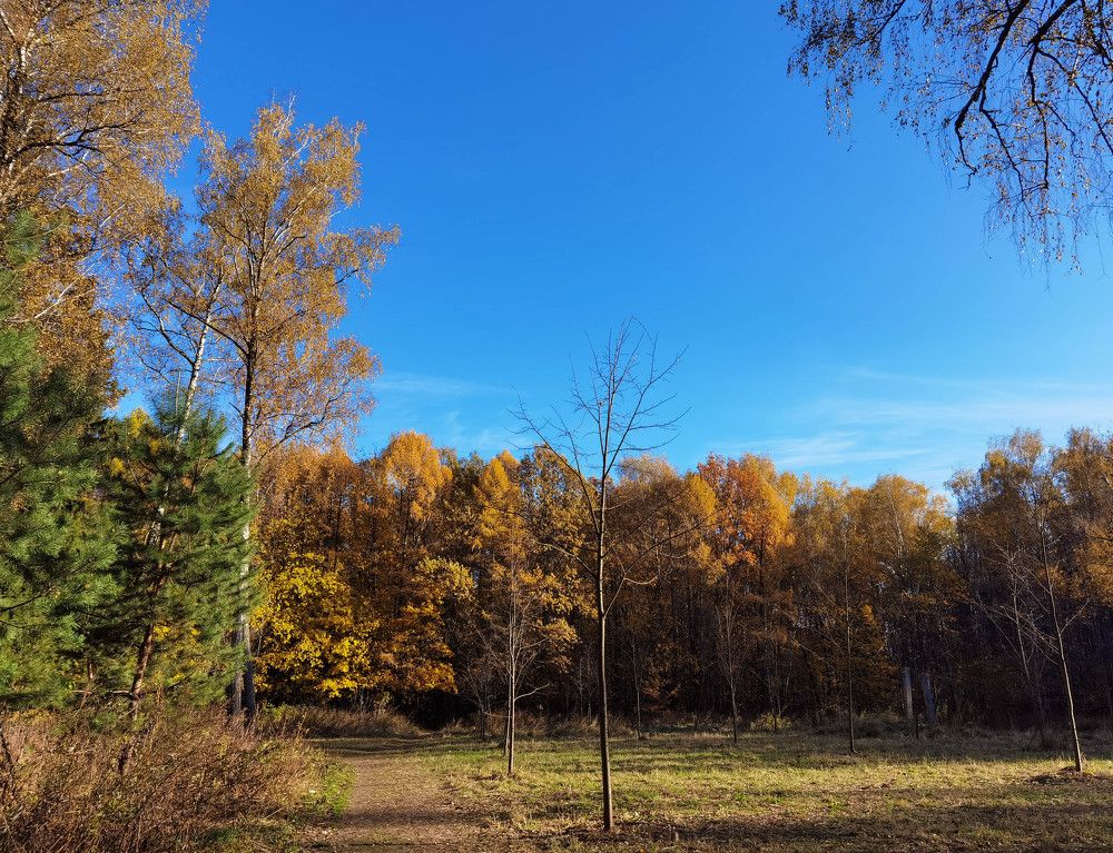 Photograph by Юлия