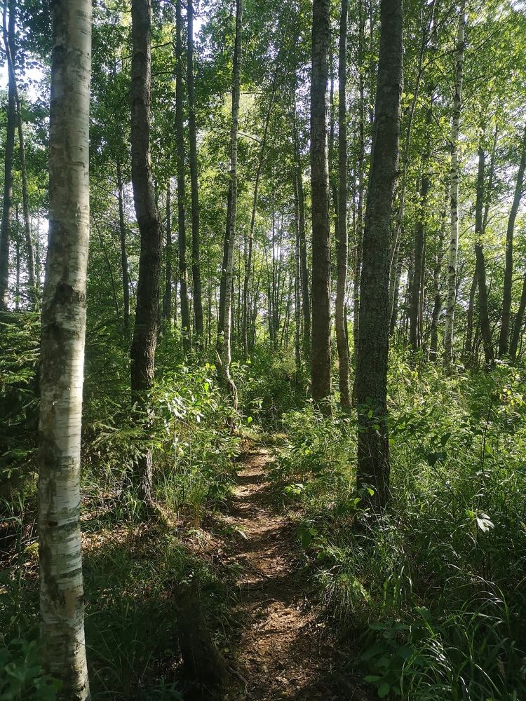 Photograph by Екатерина Борисовна Кузьмина