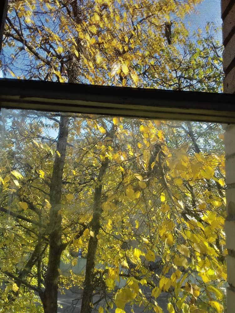 Photograph by Галина Петрушенко