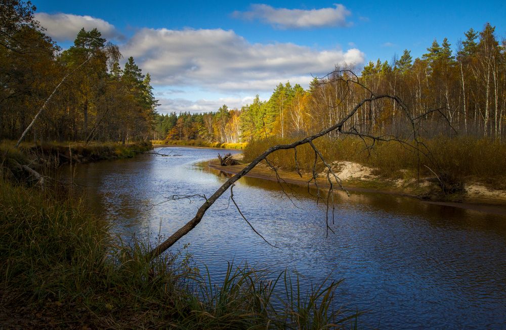 Photograph by Дмитрий Черепков