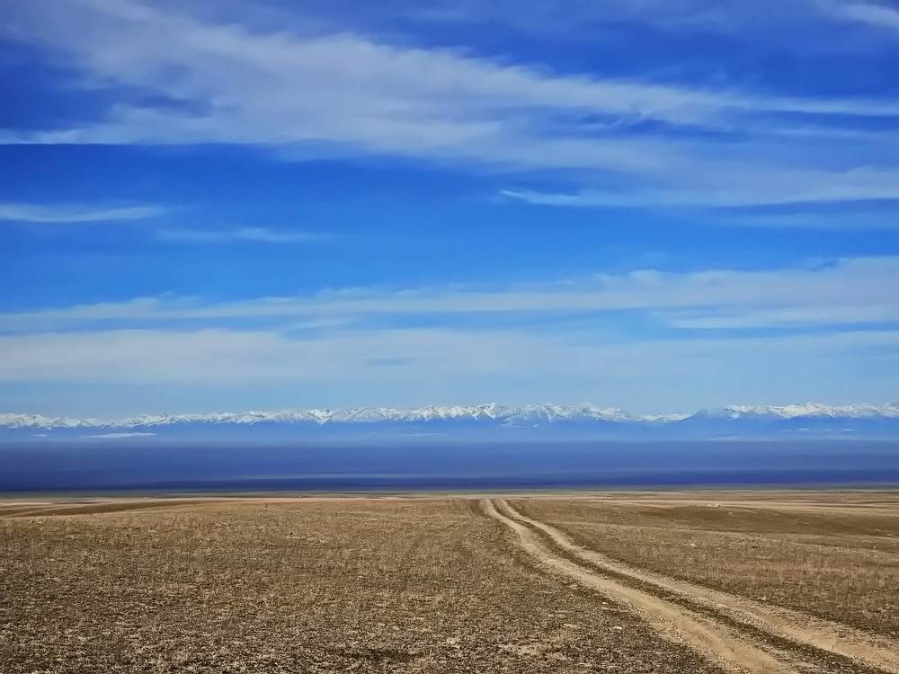 Photograph by Наталья Баранова