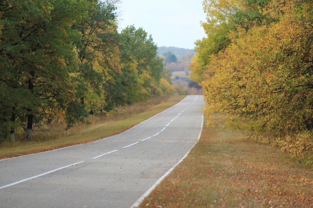 Photograph by Юлия Щетинина