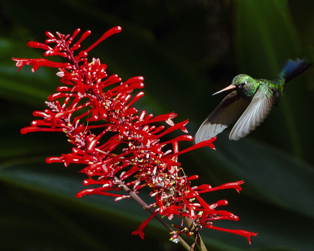 Photograph by Luiz Augusto Magina