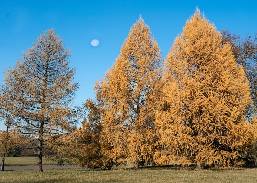 Photograph by Тамара Вотинцева