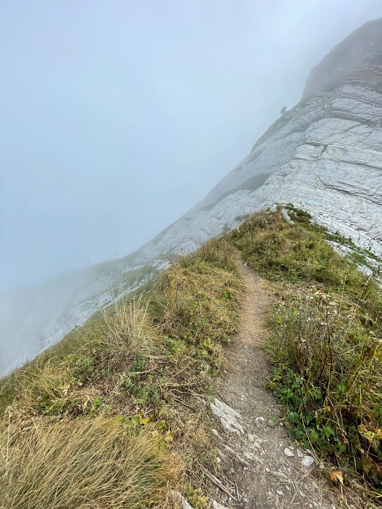 Photograph by Sergei Komlev