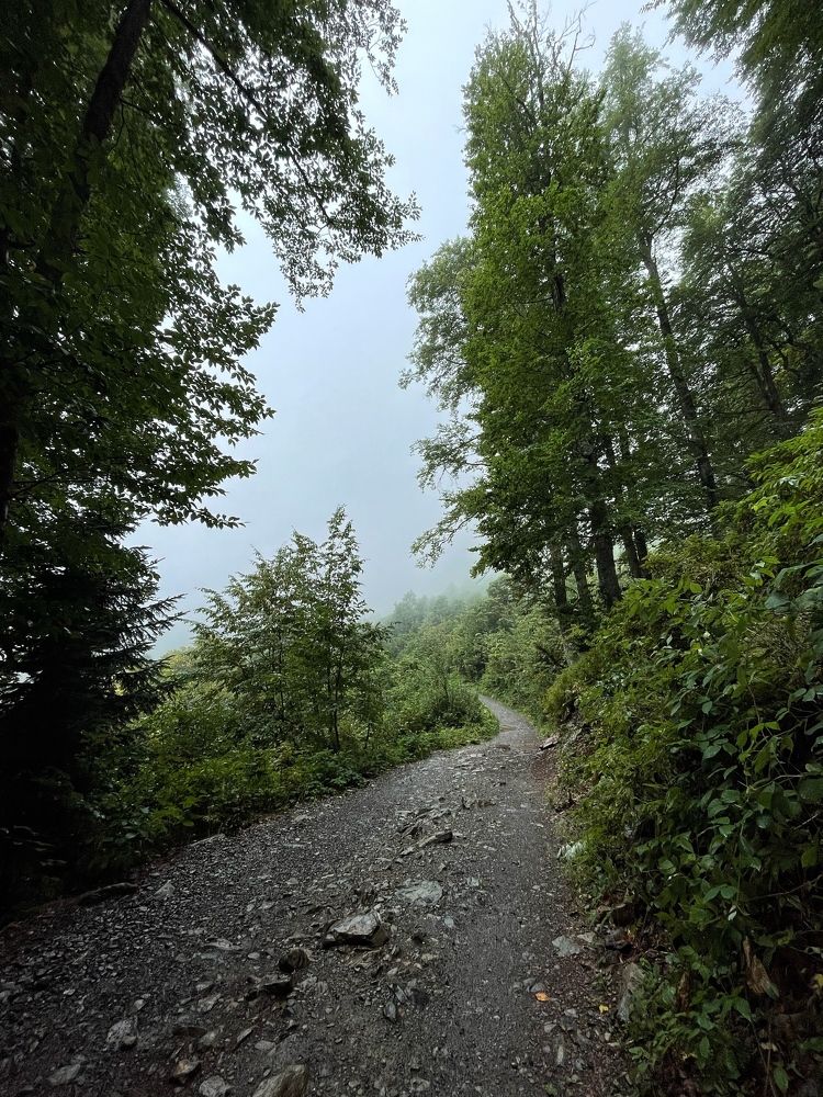 Photograph by Sergei Komlev