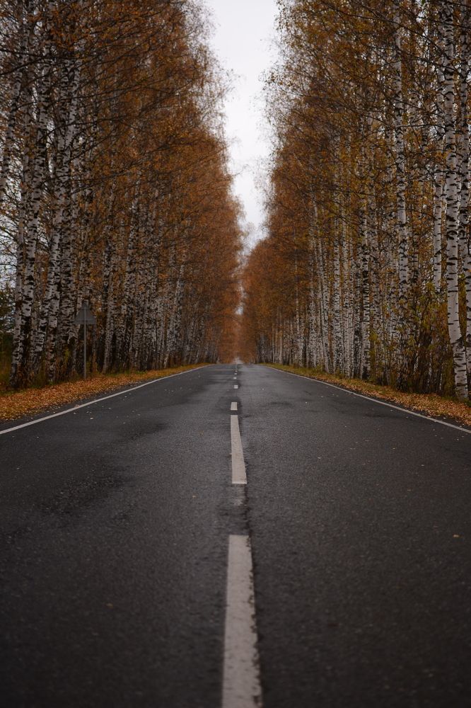 Photograph by Тимур Хабибуллин