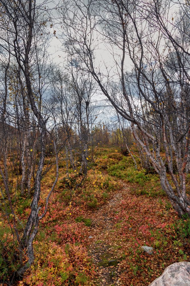 Photograph by Зоя