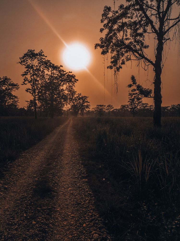 Photograph by Екатерина