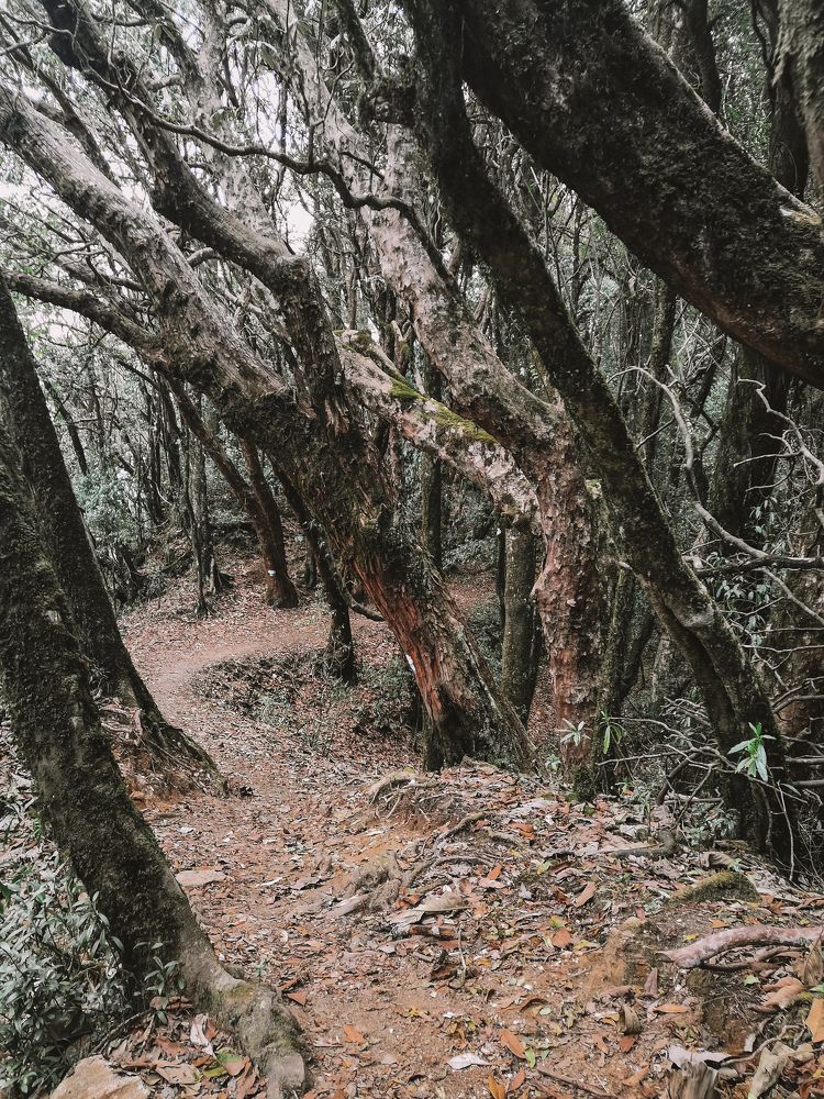 Photograph by Екатерина