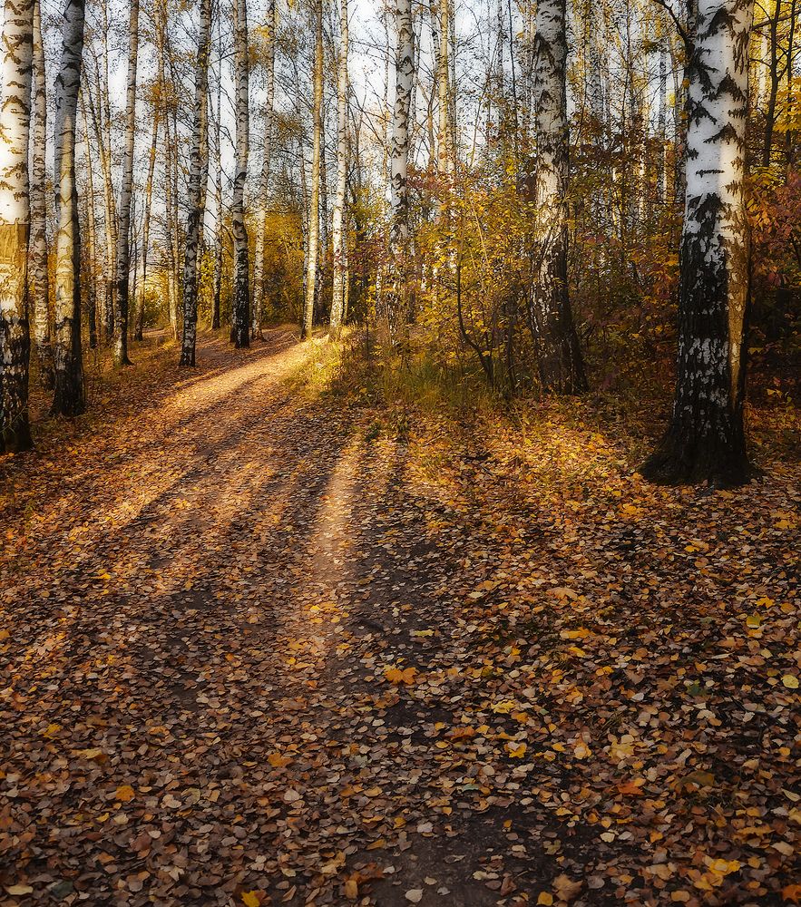 Photograph by Алексей Парамонов