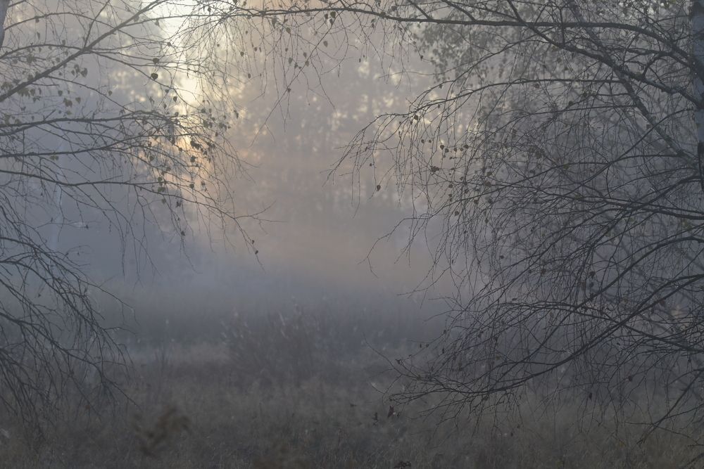 Photograph by Сергей Немцев