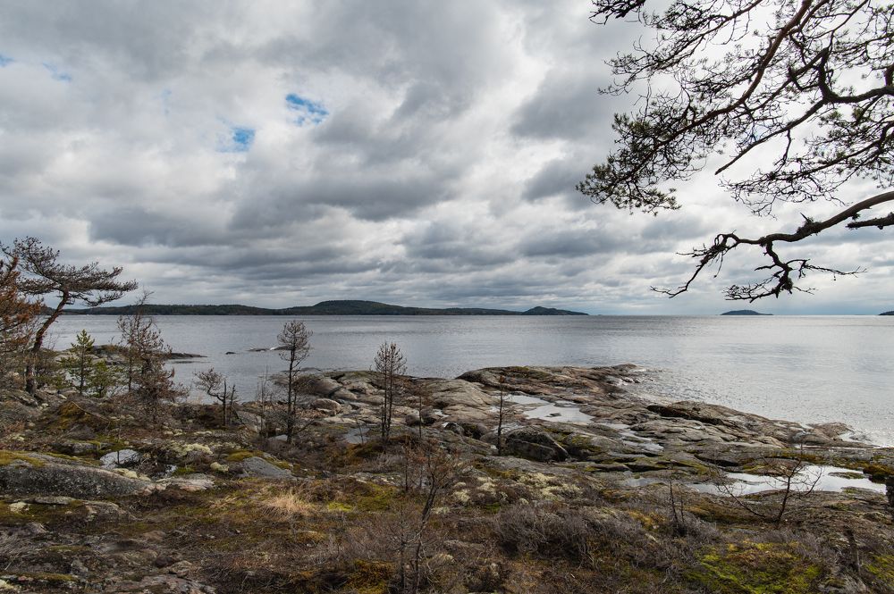 Photograph by Olga Smirnova