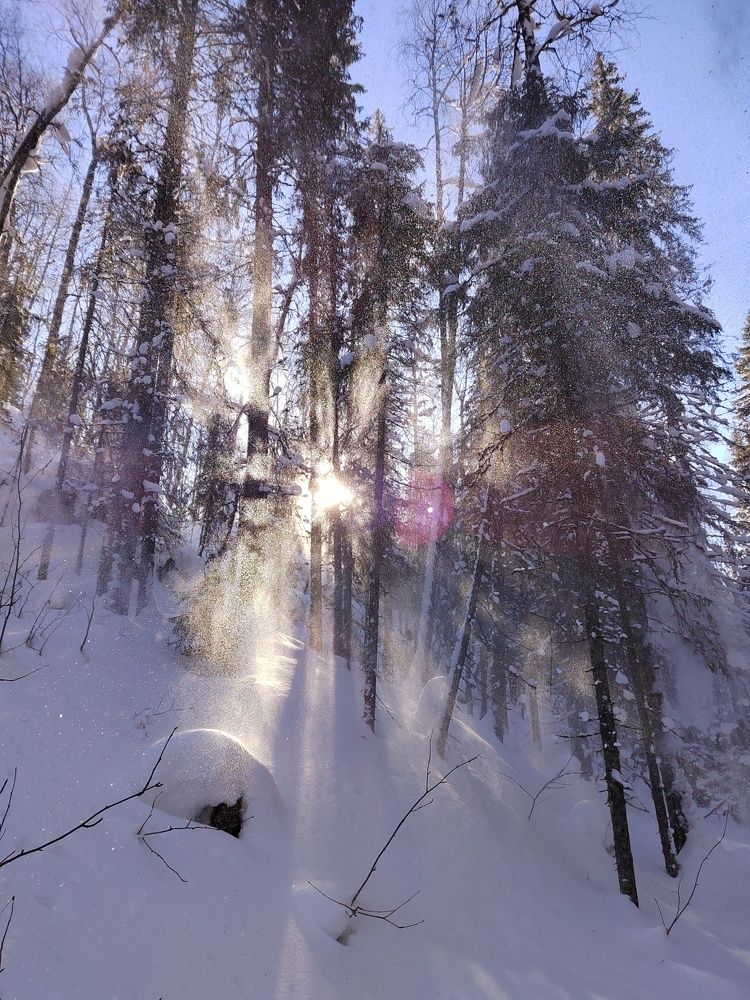 Photograph by Наталья Горовых