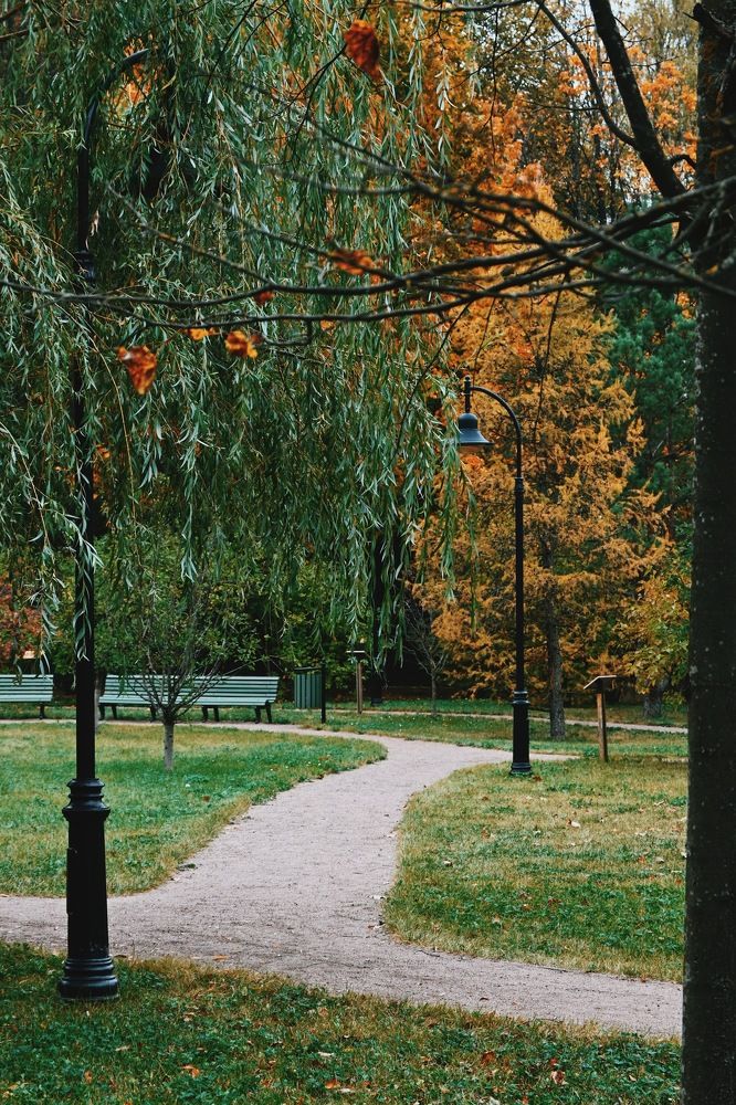 Photograph by Алёна