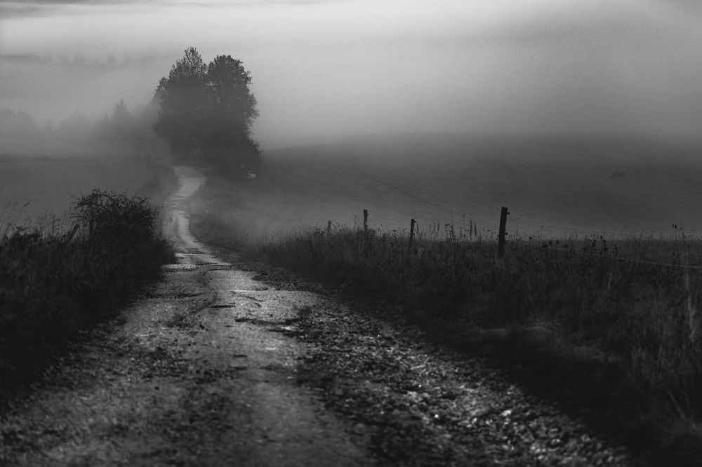 Photograph by Tomas Kozel