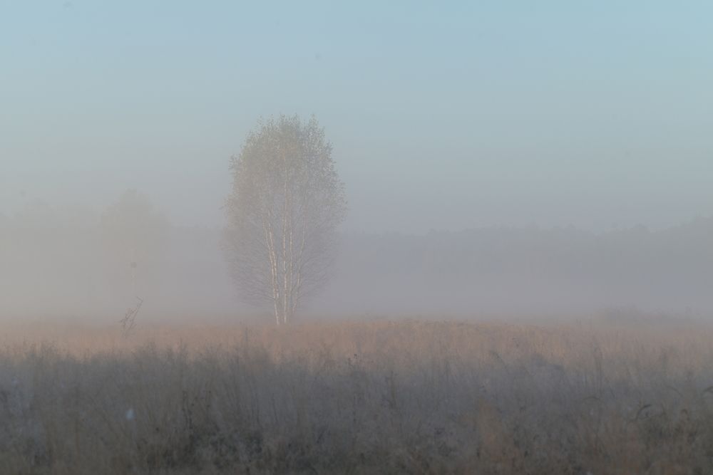 Photograph by Сергей Немцев