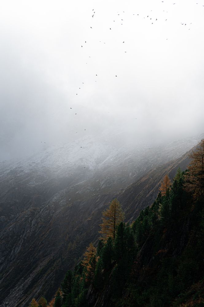 Photograph by Andrea Mascia