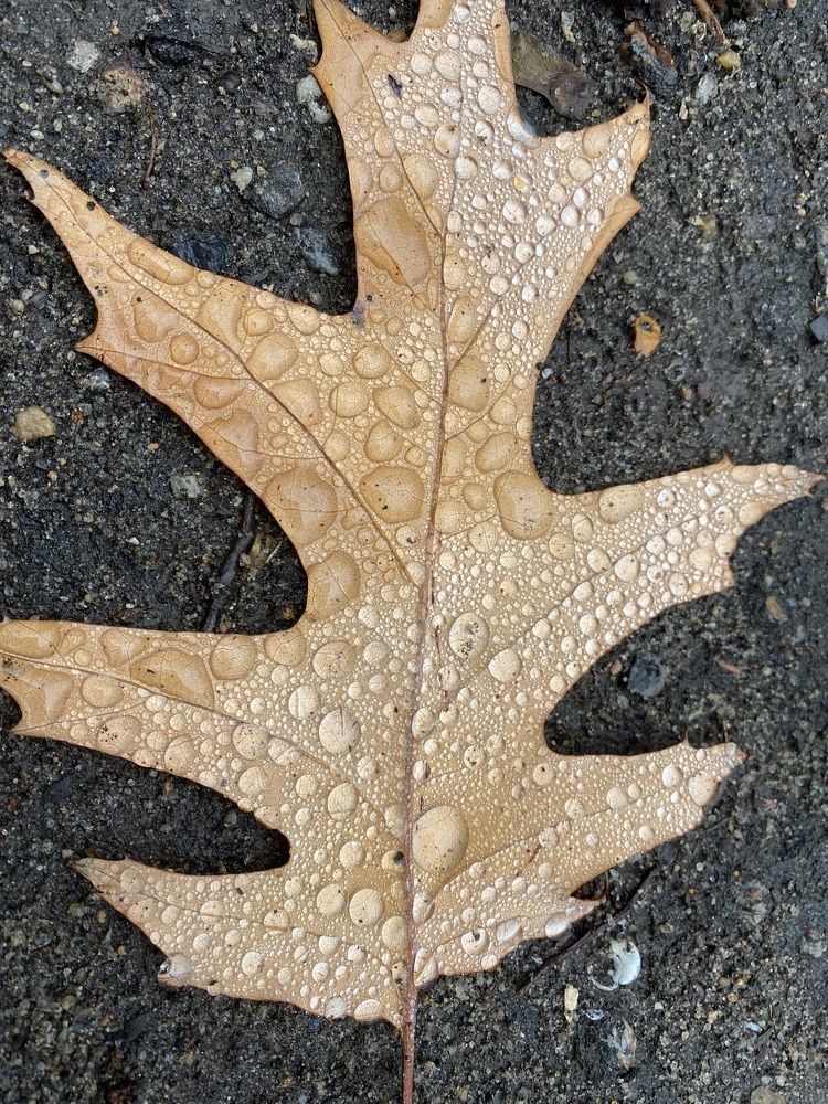 Photograph by Илья Панкратов