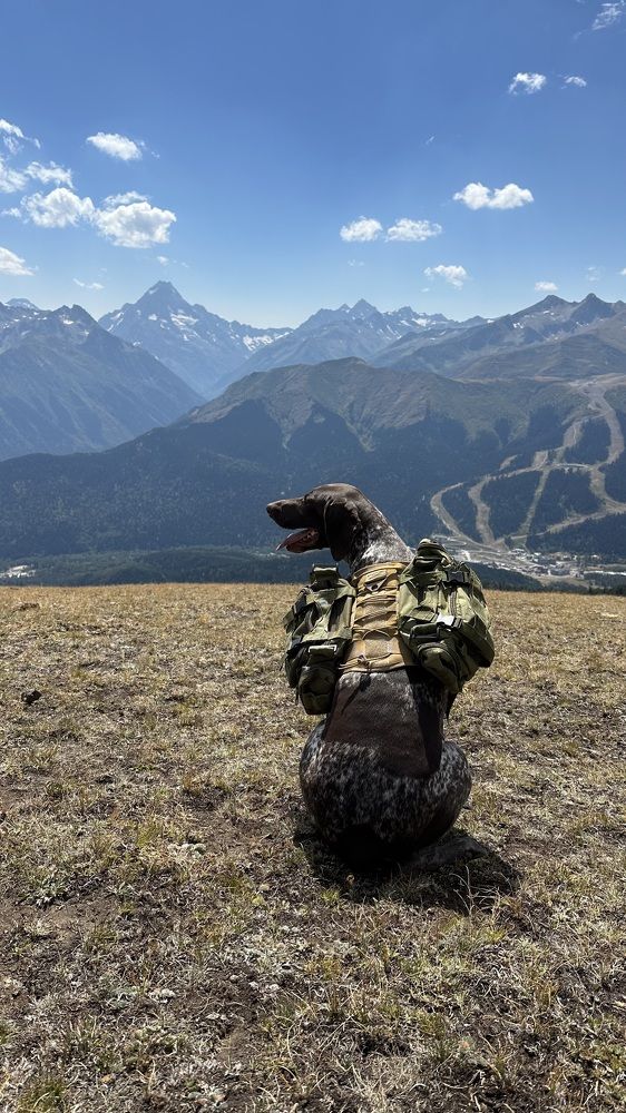 Photograph by Анастасия Волошина
