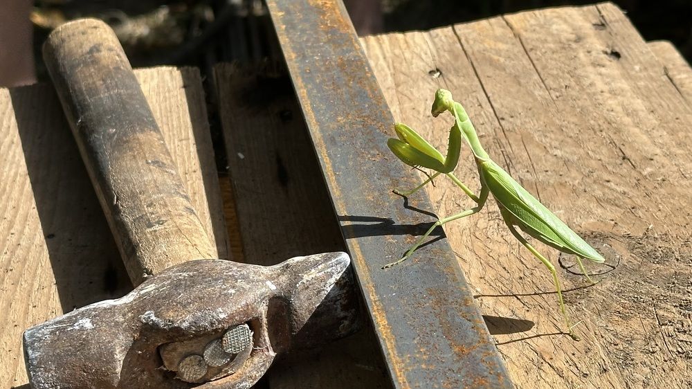 Photograph by Анастасия Волошина