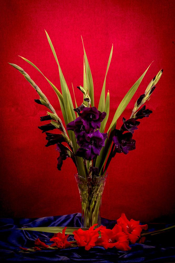 Photograph by Людмила Павловна