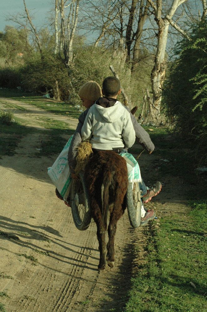 Photograph by BOUCHOUKA  AISSA AISSA