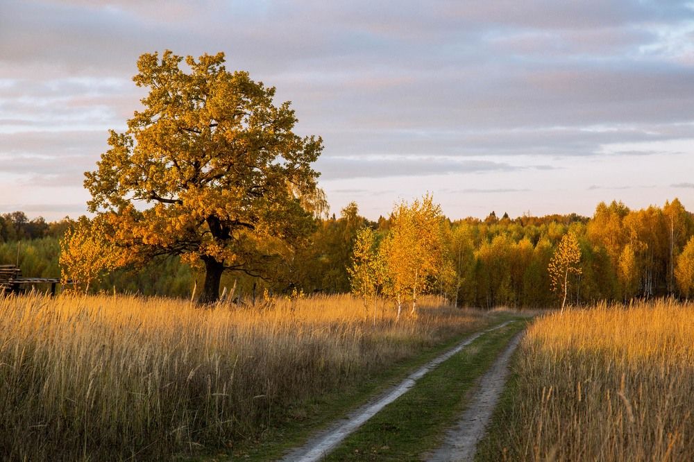 Photograph by Елена