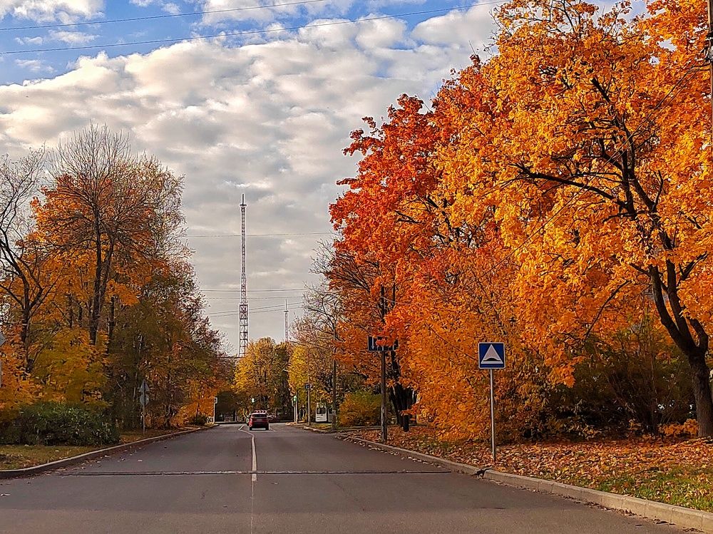 Photograph by Мария Тёмкина