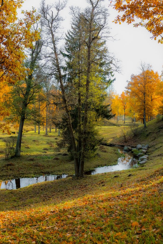 Photograph by Наталья Чернышова