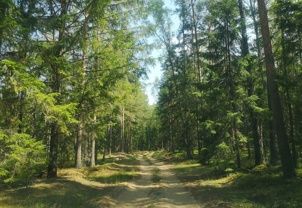 Photograph by Екатерина Борисовна Кузьмина