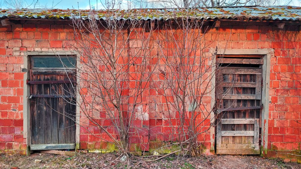 Фотография автора Александра Карпикова