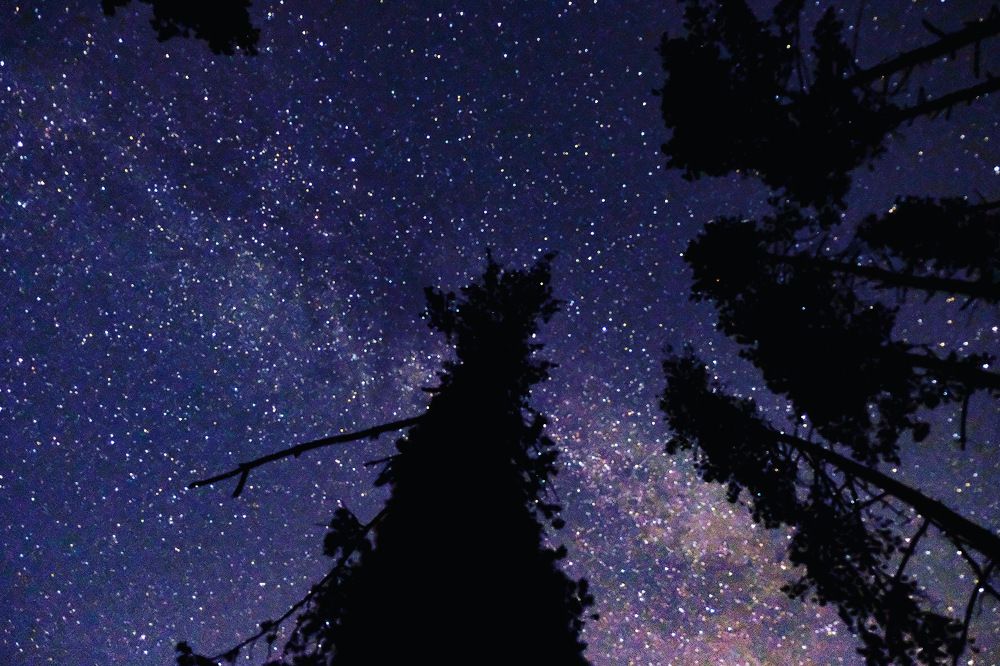 Photograph by Илья Панкратов