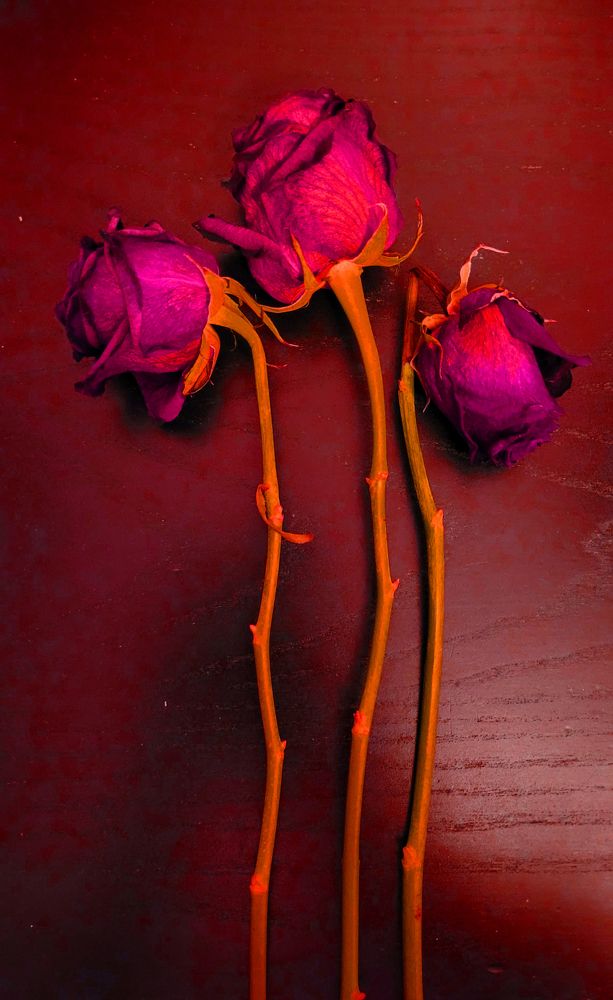 Фотография автора Александра Карпикова