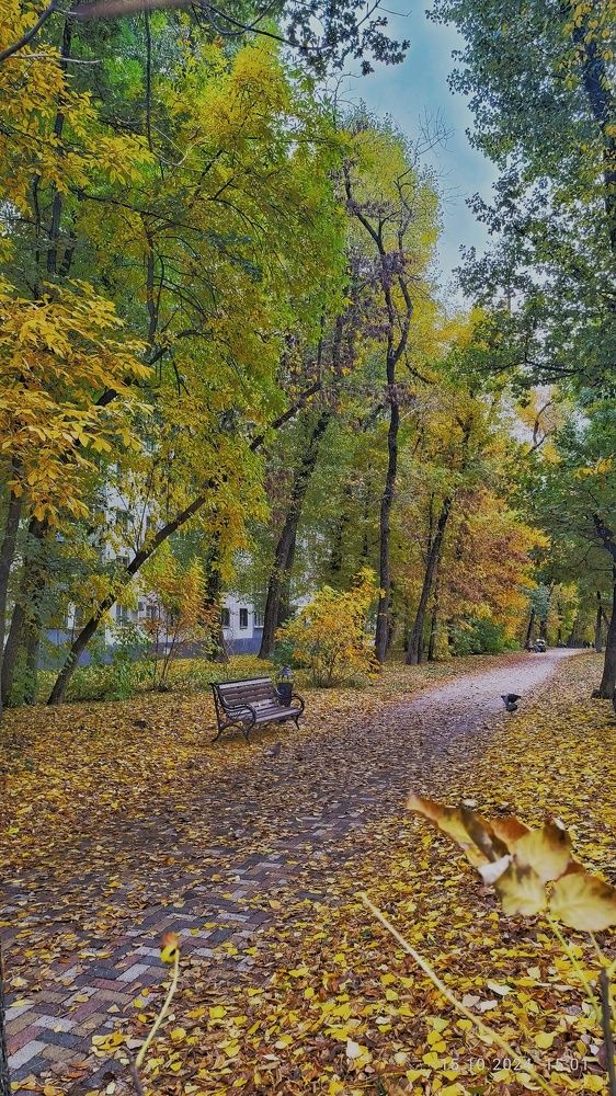 Photograph by Ирина Подосинникова