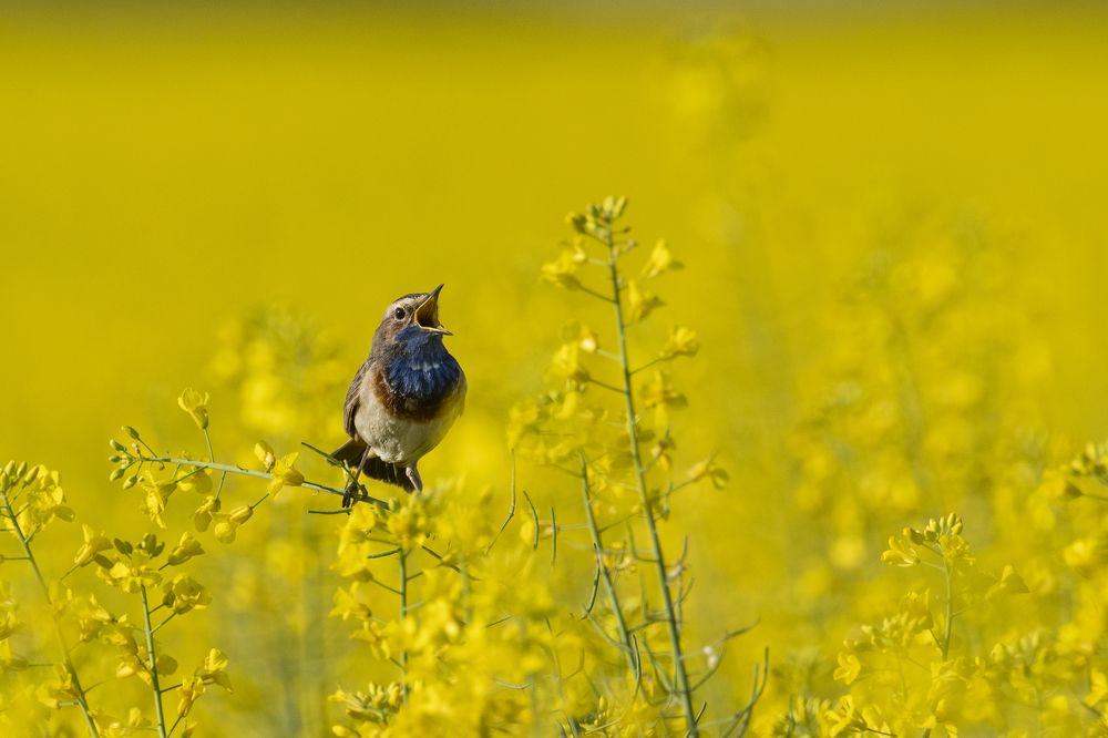 Photograph by Predrag Kostin