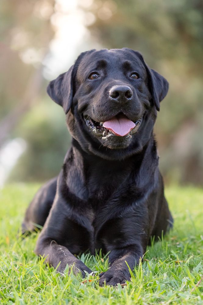 Photograph by Зоя