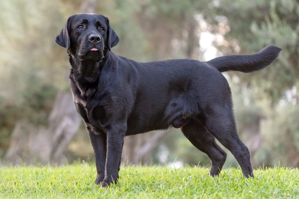 Photograph by Зоя