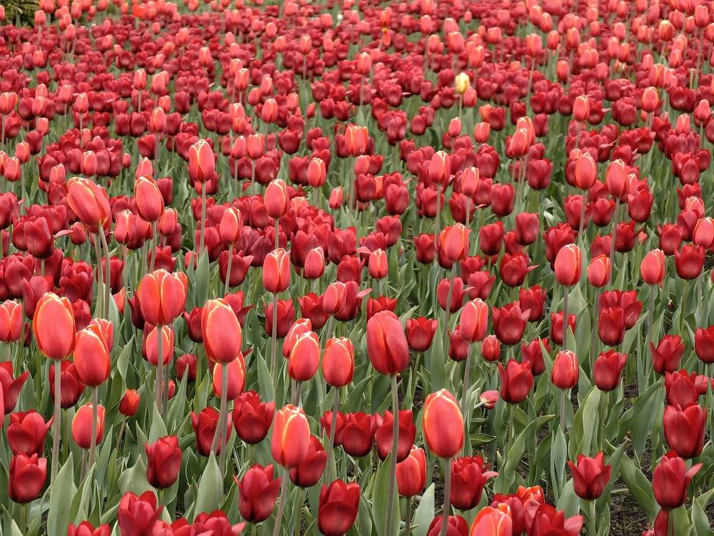 Photograph by Юлиан Щукин