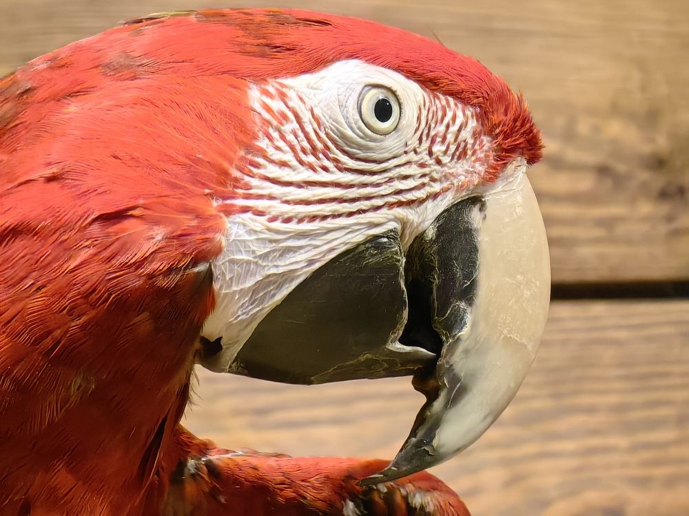 Photograph by Юлиан Щукин