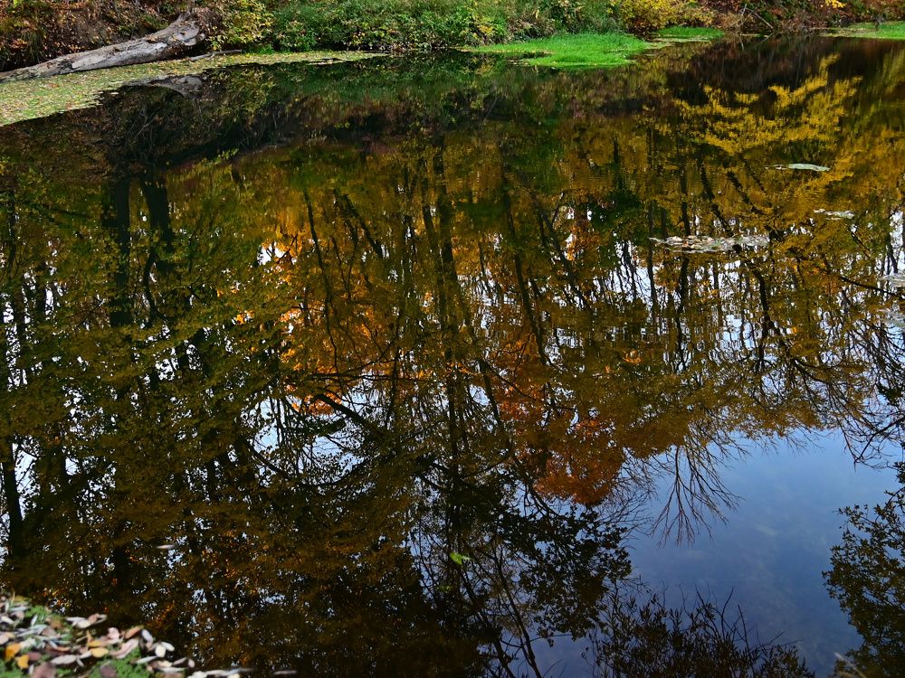 Photograph by Сергей Немцев